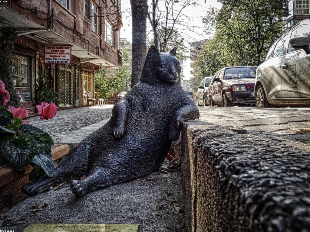 មគ្គុទេសក៍សម្រាប់អ្នកថ្មីក្នុងការផ្សព្វផ្សាយ