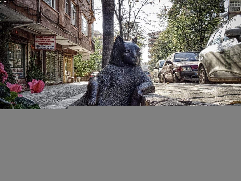 មគ្គុទេសក៍សម្រាប់អ្នកថ្មីក្នុងការប្រើប្រាស់ឧបករណ៍ឌីជីថល