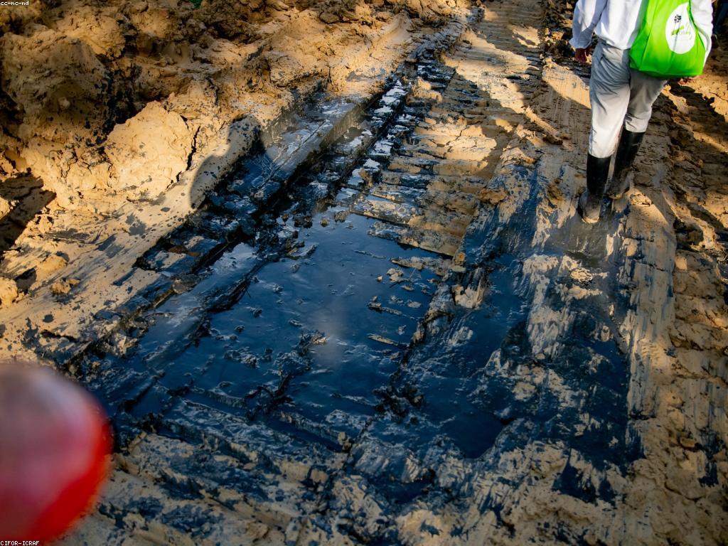 ការណែនាំសម្រាប់អ្នកថ្មី៖ ព័ត៌មាន និង គន្លិះសំខាន់ៗ